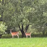 Filozofa Pod Polica Hébergement de vacances Skawica (Lesser Poland)