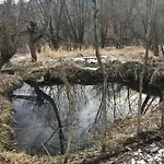 Filozofa Pod Polica