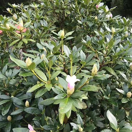 Ferienhaus Filozofa Pod Polica *