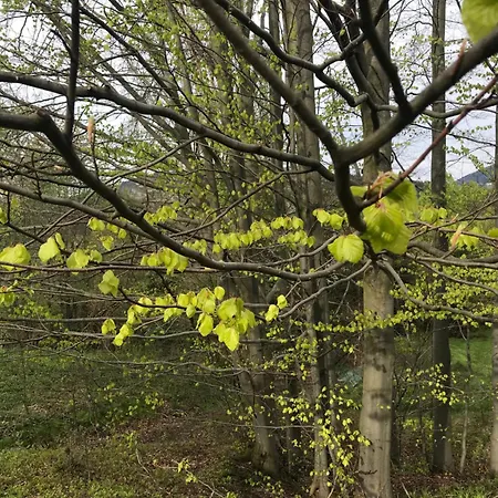 Feriehus Filozofa Pod Polica *