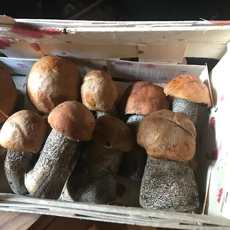 Filozofa Pod Polica Skawica (Lesser Poland)