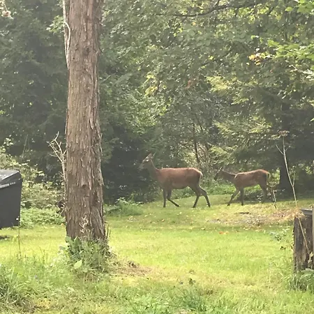 Ferienhaus Filozofa Pod Polica