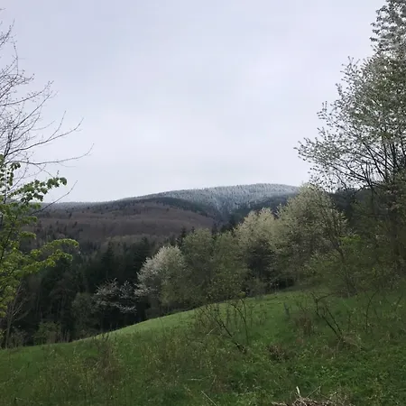 Filozofa Pod Polica *