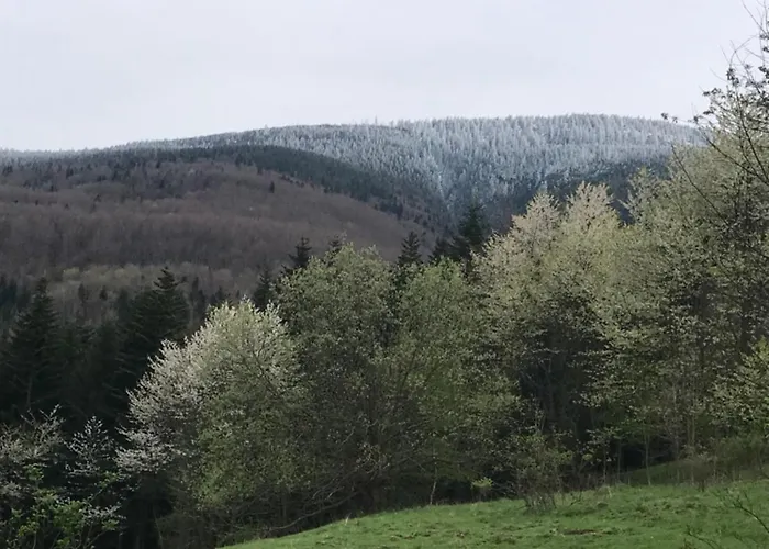 Dom wakacyjny Filozofa Pod Policą