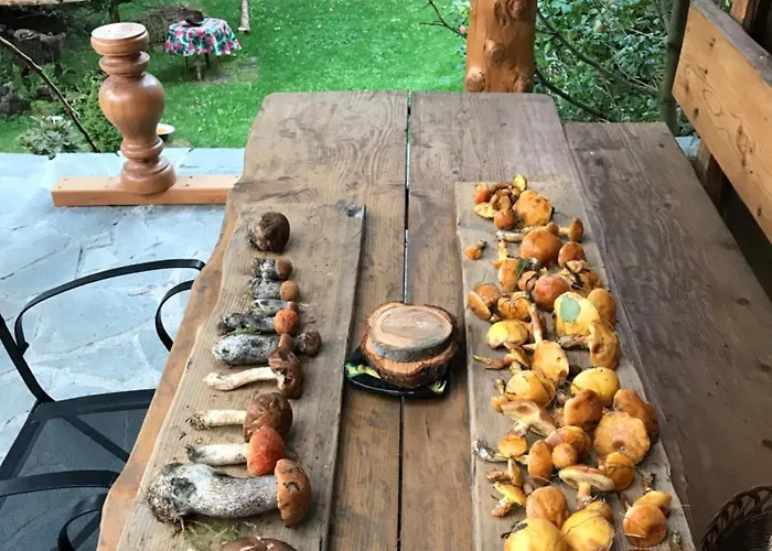 Filozofa Pod Policą Dom wakacyjny